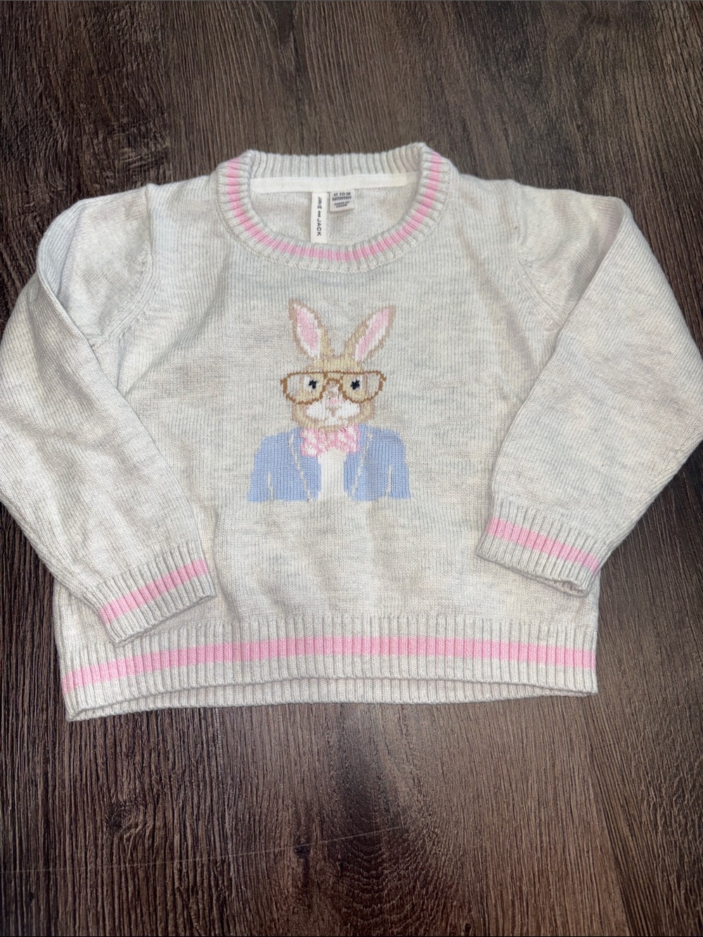 Crew neck sweater with bunny on front